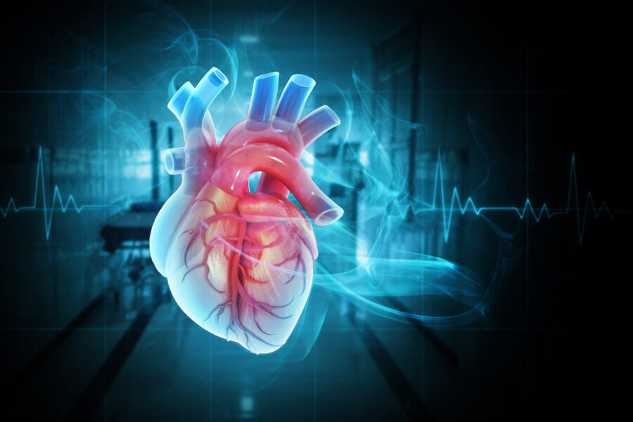Digital 3D illustration of a human heart with an EKG line, representing cardiology imaging.