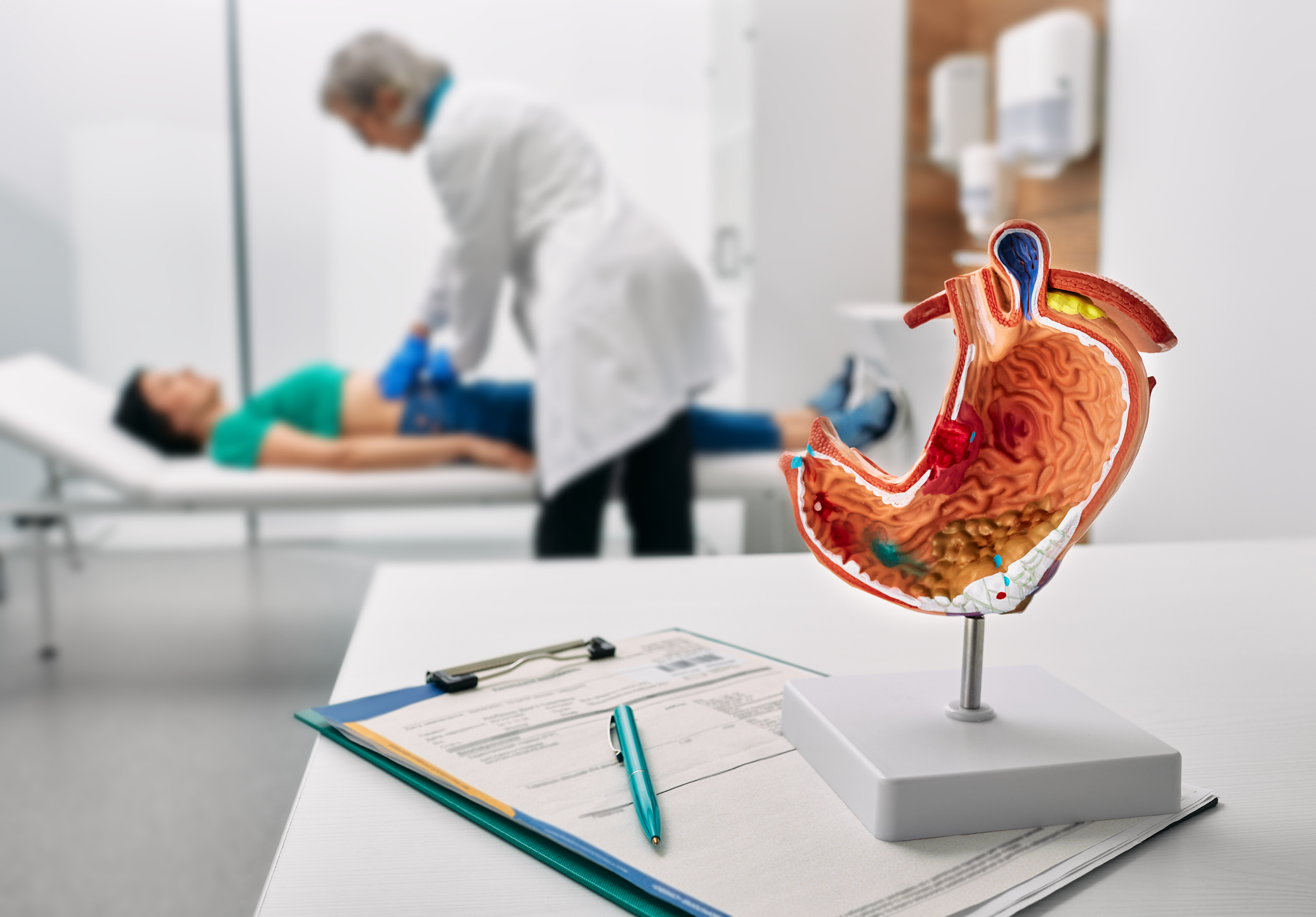 Anatomical model of the human stomach and intestines on a desk in a medical office, with a patient receiving an abdominal examination from a gastroenterologist in the background.